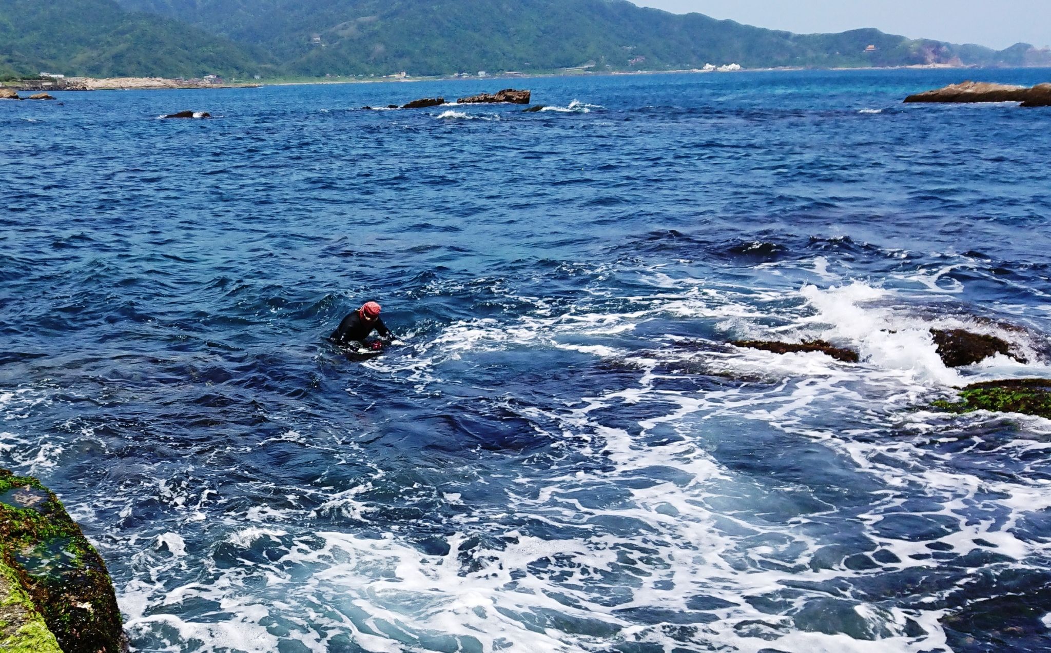 ▲新北推石花菜小旅行。（圖／新北市漁業處表示）