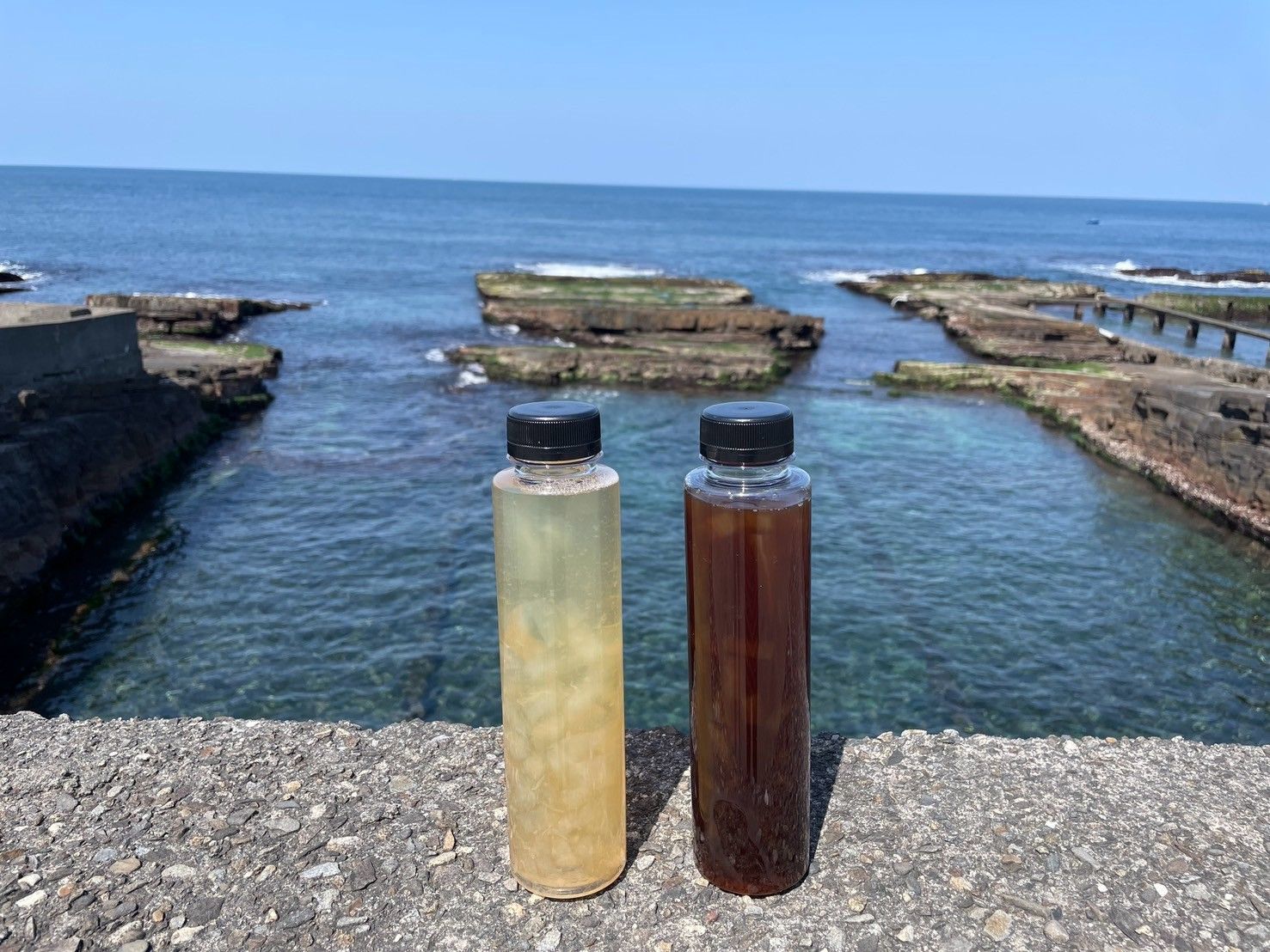 ▲新北推石花菜小旅行。（圖／新北市漁業處表示）