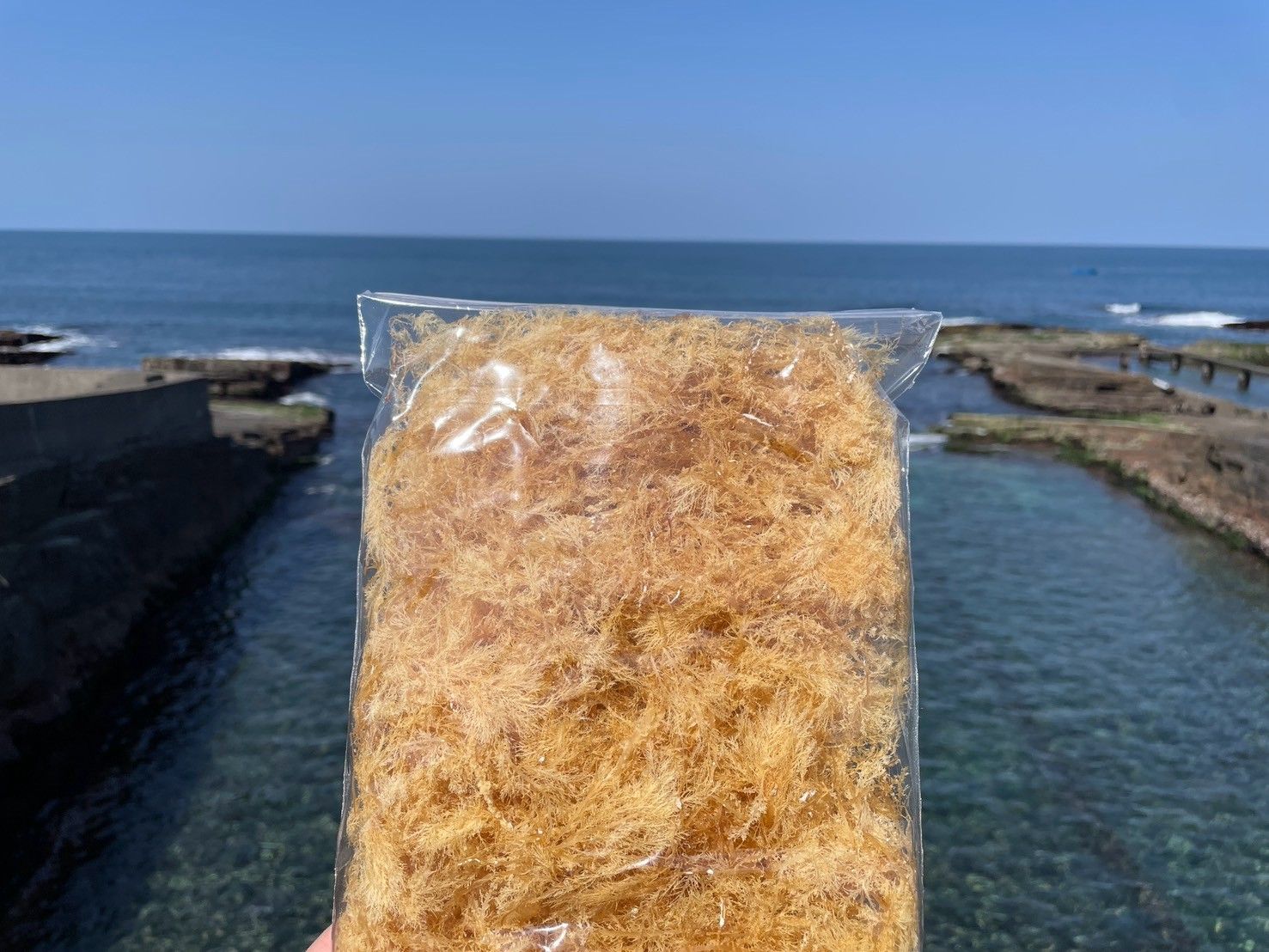 ▲新北推石花菜小旅行。（圖／新北市漁業處表示）