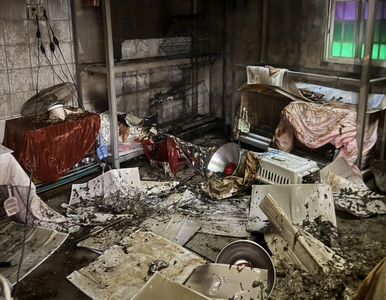 新店動物之家老舊電線走火　收容貓遭濃煙嗆「1死1傷」
