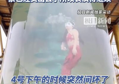 陸「美人魚」在污濁綠水缸賣力演出 景區:過濾系統壞了票也賣了
