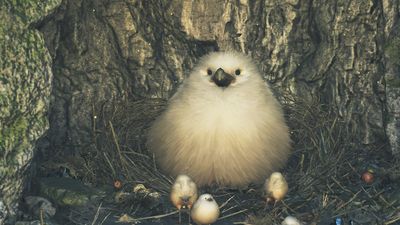 《魔物獵人 荒野》巨大柔毛秧雞萌翻　網嗨「好大想埋進去」