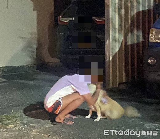 ▲台東大武警方積極協尋促成人犬重逢。（圖／記者楊漢聲翻攝）