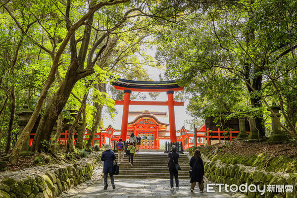 ▲▼九州大分宇佐神宮。（圖／記者蔡玟君攝）