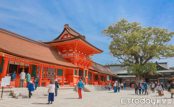 ▲▼九州大分宇佐神宮。（圖／記者蔡玟君攝）