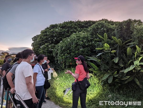 ▲三仙台的特殊地形也造就島上豐富的自然生態。（圖／東管處提供，下同）