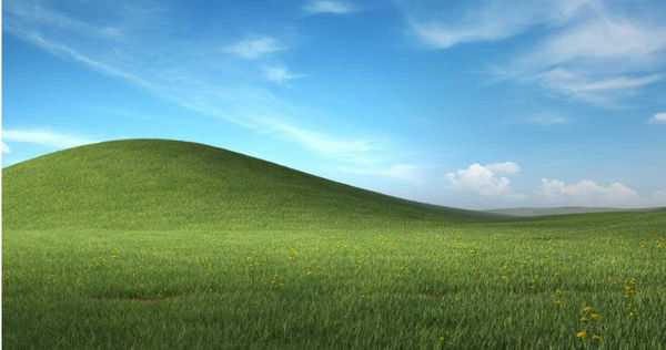 Windows XP 背景圖成為經典。（圖／翻攝microsoft.design）