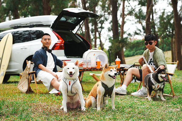 ▲▼高雄中央公園英迪格酒店可以免費開VOlVO車款。（圖／業者提供）