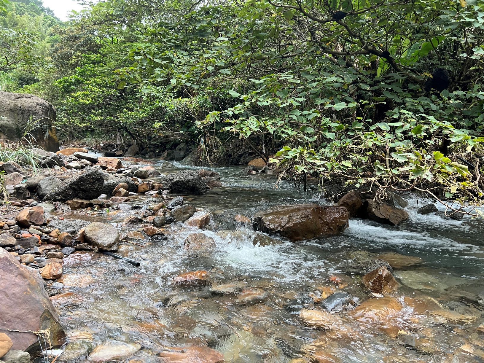 ▲新北農再社區推文化生態小旅行。（圖／新北市農業局提供）