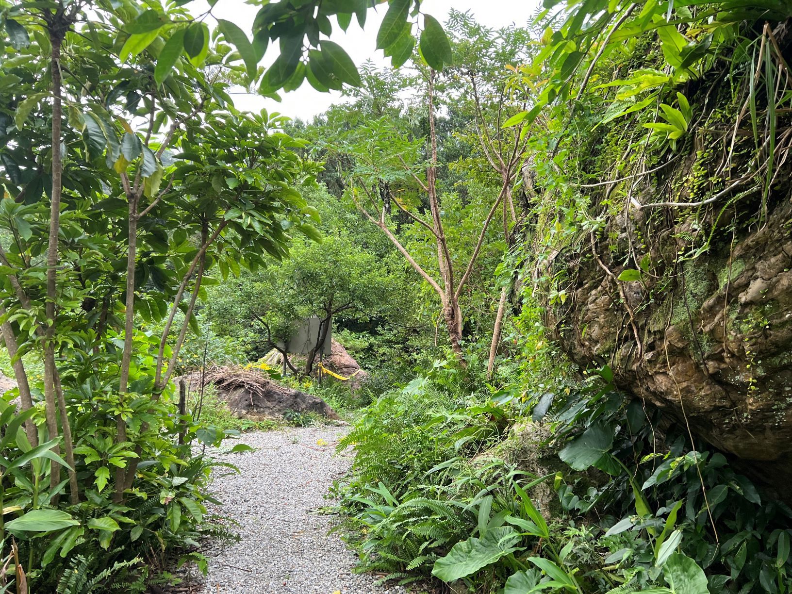 ▲新北農再社區推文化生態小旅行。（圖／新北市農業局提供）