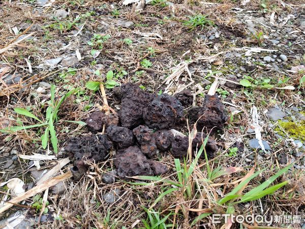 ▲鳳林鎮長橋國小的學童在老師的帶領下到崇德探索歷史遺跡。(圖太管處提供下同)