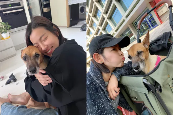 ▲▼米可白愛犬罹胃癌「20天燒9萬」。（圖／翻攝自Facebook／米可白）