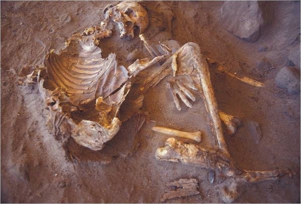 ▲▼最老木乃伊出土!揭密未知神秘人群曾居住綠色撒哈拉。（圖／撒哈拉考古團羅馬大學）