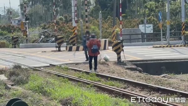 ▲▼有女子進入水門路平交道鐵軌與盛開的花旗木拍照             ，引發眾怒。（圖／民眾提供）