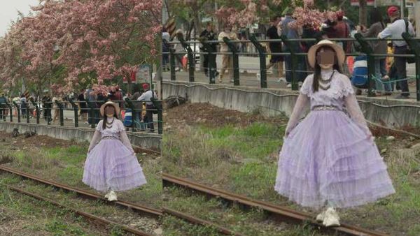 ▲▼有女子進入水門路平交道鐵軌與盛開的花旗木拍照 ，引發眾怒。（圖／民眾提供）