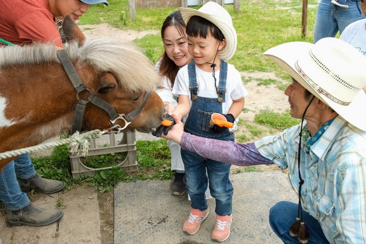 ▲▼Hanazono北海道渡假村。（圖／業者提供）