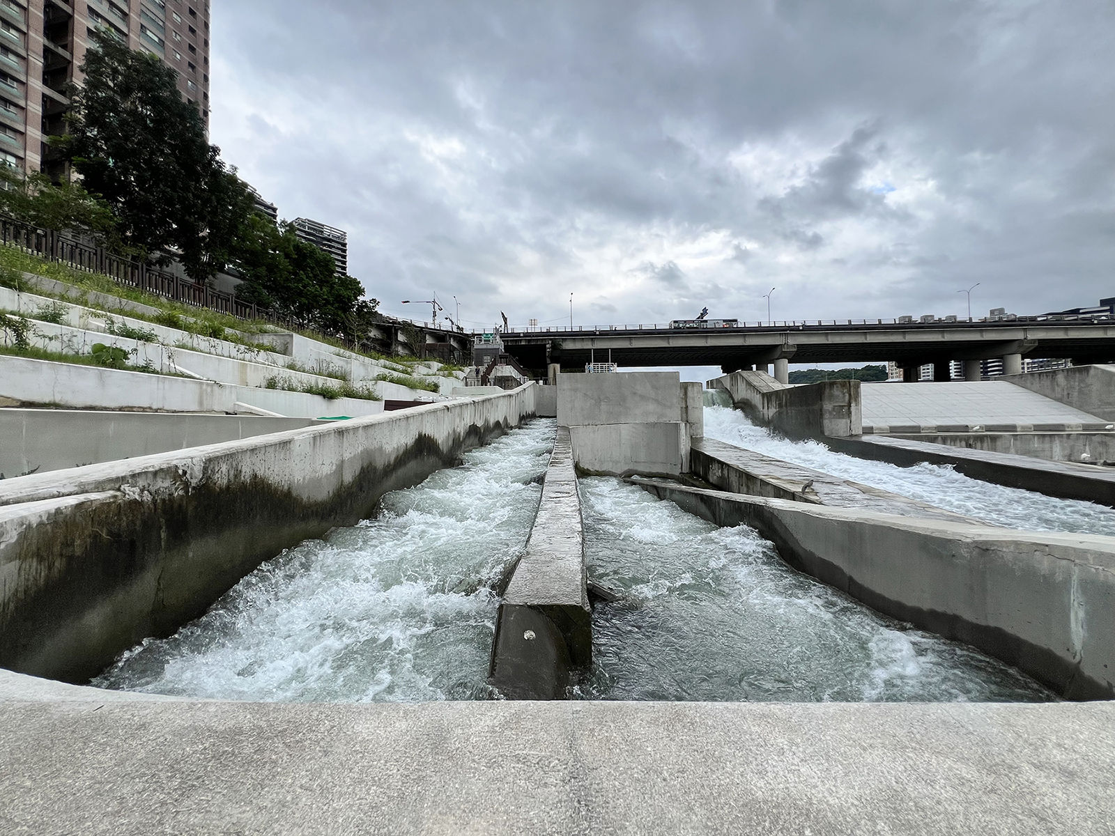 ▲新北水利局生態監測有成。（圖／新北市水利局提供）