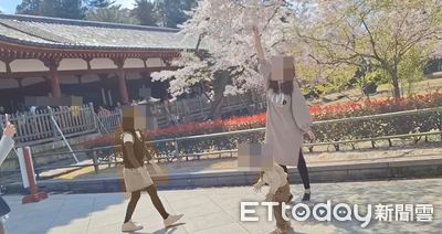 遊客「狂搖櫻花樹」開心比YA拍美照!他看傻:日本人都制止了