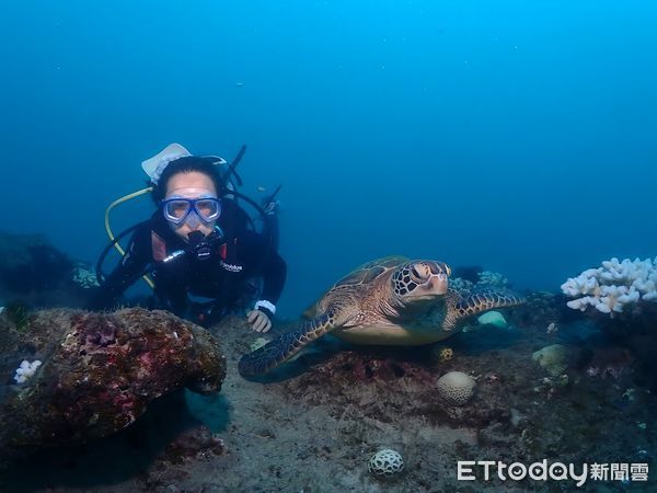 ▲▼李靈於小琉球浮潛與海龜合影。（圖／航港局提供）