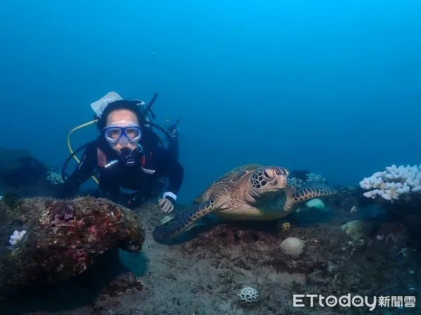 ▲▼李靈於小琉球浮潛與海龜合影。（圖／航港局提供）