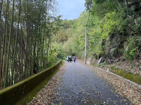 ▲▼台灣黑熊跳下「站立對看」哈凱族人　驚悚出沒桃園！。（圖／林業及自然保育署新竹分署）