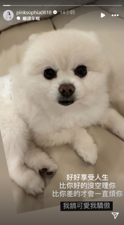 ▲▼王思佳。（圖／翻攝自Instagram／pinksophia0818）