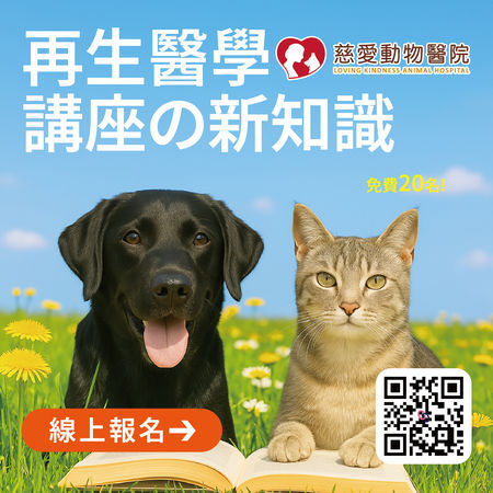 東森寵物提供。