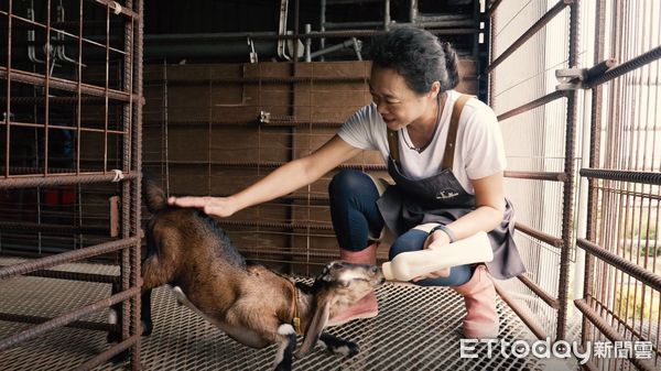 ▲台南市佳里區公所，從2011年就投入社造，帶著社區邊學邊做，全區24個社區就有20個曾參與社造計畫，13年的社造成果可在佳里區公所網頁或臉書粉專走讀佳里之美。（圖／記者林東良翻攝，下同）