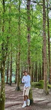 ▲潘若迪背景一片綠油油樹林，呼應目前股市慘況。（圖／翻攝自Facebook／潘若迪_Funky Dance）