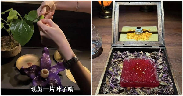 陸餐廳請客人吃樹葉和冰塊。（圖／翻攝新民晚報，下同）