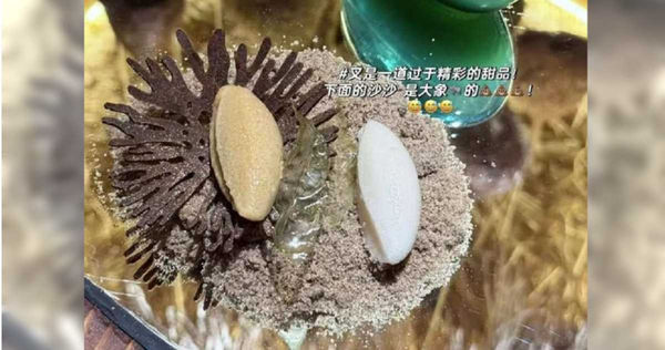 大象糞做的甜點。