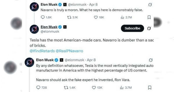 馬斯克直言納瓦羅是假專家、白癡且比一袋磚頭還蠢的人。（圖／翻攝自X／elonmusk）