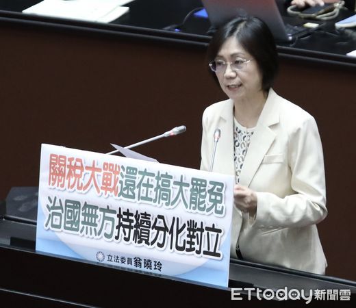 ▲▼翁曉玲  立法院院會 國是論壇。（圖／記者屠惠剛攝）