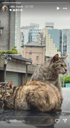 ▲▼謝欣穎。（圖／翻攝自Instagram／nikki_hsieh）