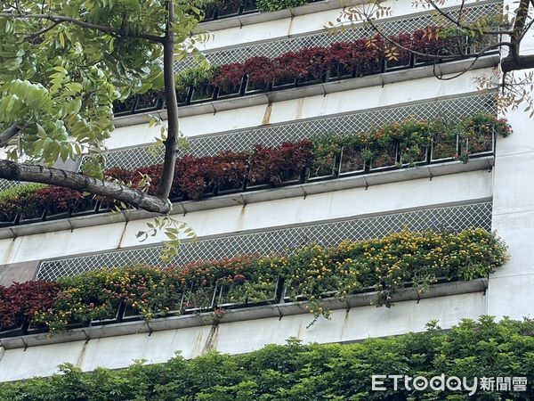 ▲▼台中勤美上月才加裝防護繩網，仍難以阻止墜樓，目前規劃改裝鐵網。（圖／記者鄧木卿攝）