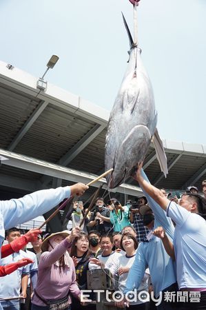 ▲2025屏東第一鮪11日拍賣             。（圖／屏東縣政府提供）