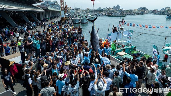 ▲2025屏東第一鮪11日拍賣             。（圖／屏東縣政府提供）