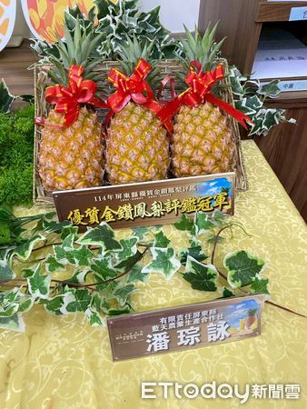 ▲114年屏東縣優質金鑽鳳梨評鑑             。（圖／屏東縣政府提供）