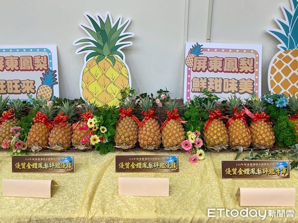 ▲114年屏東縣優質金鑽鳳梨評鑑             。（圖／屏東縣政府提供）