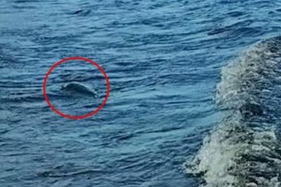 疑尼斯湖水怪「水下吐泡泡」被直擊　世紀謎團再掀波瀾