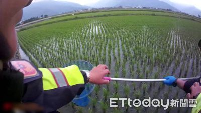 電動自行車衝進伯朗大道稻田 台東警「撈網救手機」護農作