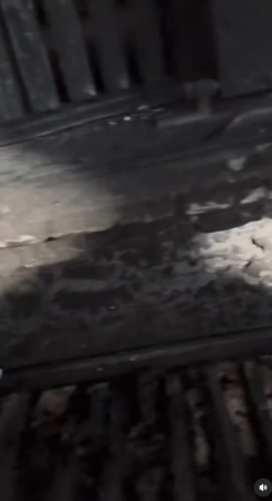 ▲▼王力宏。（圖／翻攝自Instagram／wangleehom）