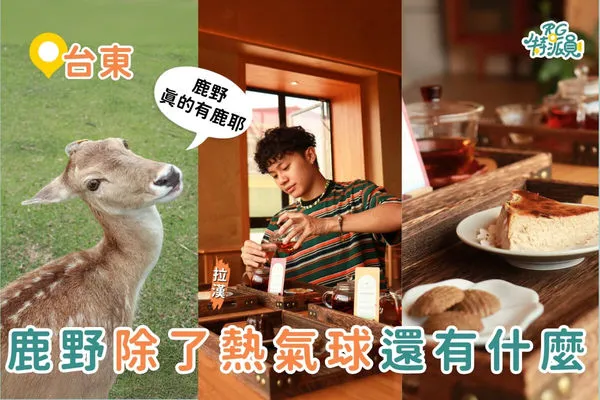 ▲▼台東親子一日遊攻略。（圖／ReadyGo提供）