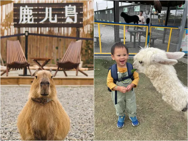 ▲▼南部六大特色農場！（圖／ReadyGo提供）