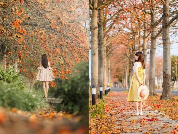 ▲▼全台 6 大浪漫木棉花景點推薦。（圖／ReadyGo提供）