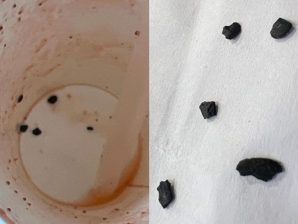 ▲▼知名手搖飲喝到「攪拌機碎片」！恐怖畫面曝　業者認了：操作不當。（圖／記者賴文萱翻攝）