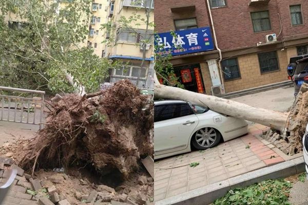 ▲▼河南出現15級大風。（圖／翻攝自微博）