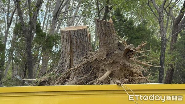 ▲▼ 2024.4.12北京十年來罕見大風            。（圖／記者任以芳攝）
