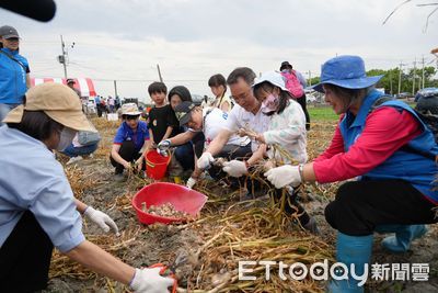雲林蒜頭產量與品質俱佳 縣府、縣農會請國人多食用國產蒜