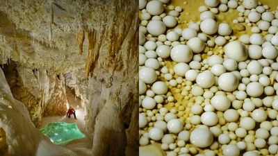 貴州發現4.8億年前｢地下水晶宮｣　罕見洞穴沉積物基因庫